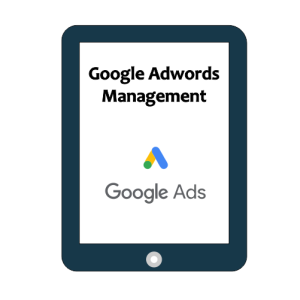 Google Adwords Management